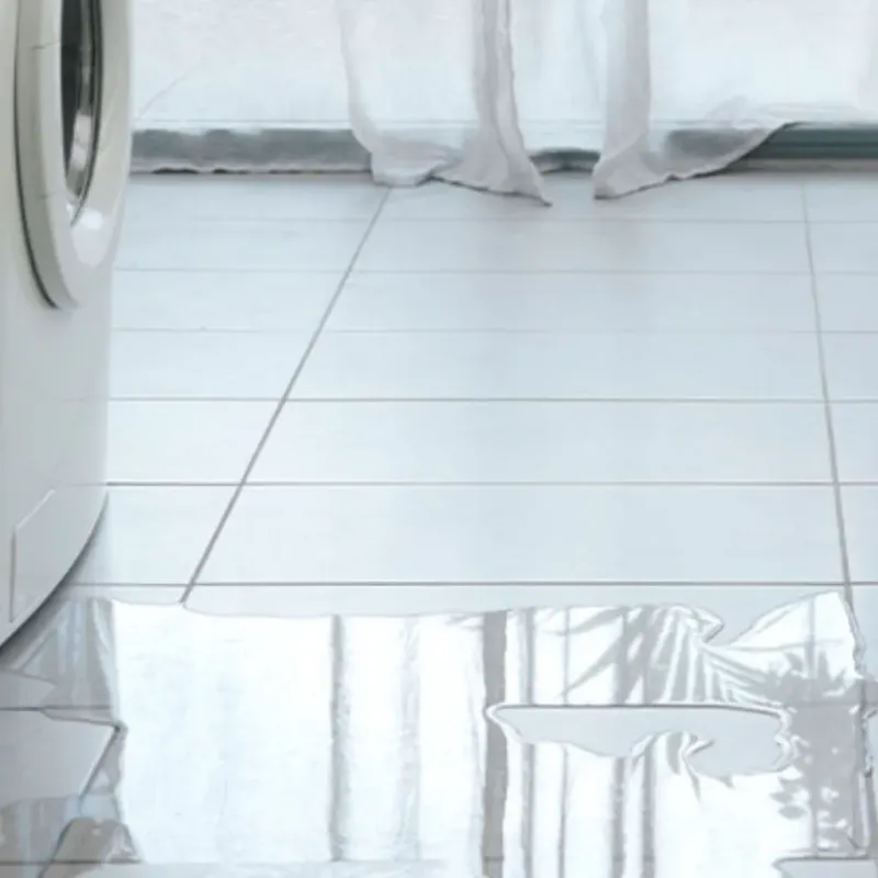 Appliance Leak Cleanup in North Fork, AZ