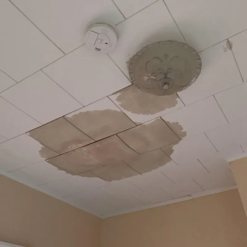 Ceiling Water Damage Repair in North Fork, AZ