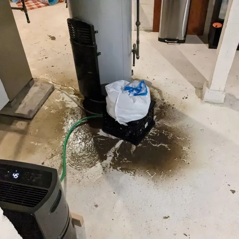 Sewage Backup Cleanup Service in North Fork, AZ